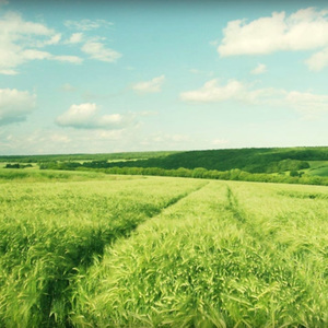 亚洲一区二区三区写真
